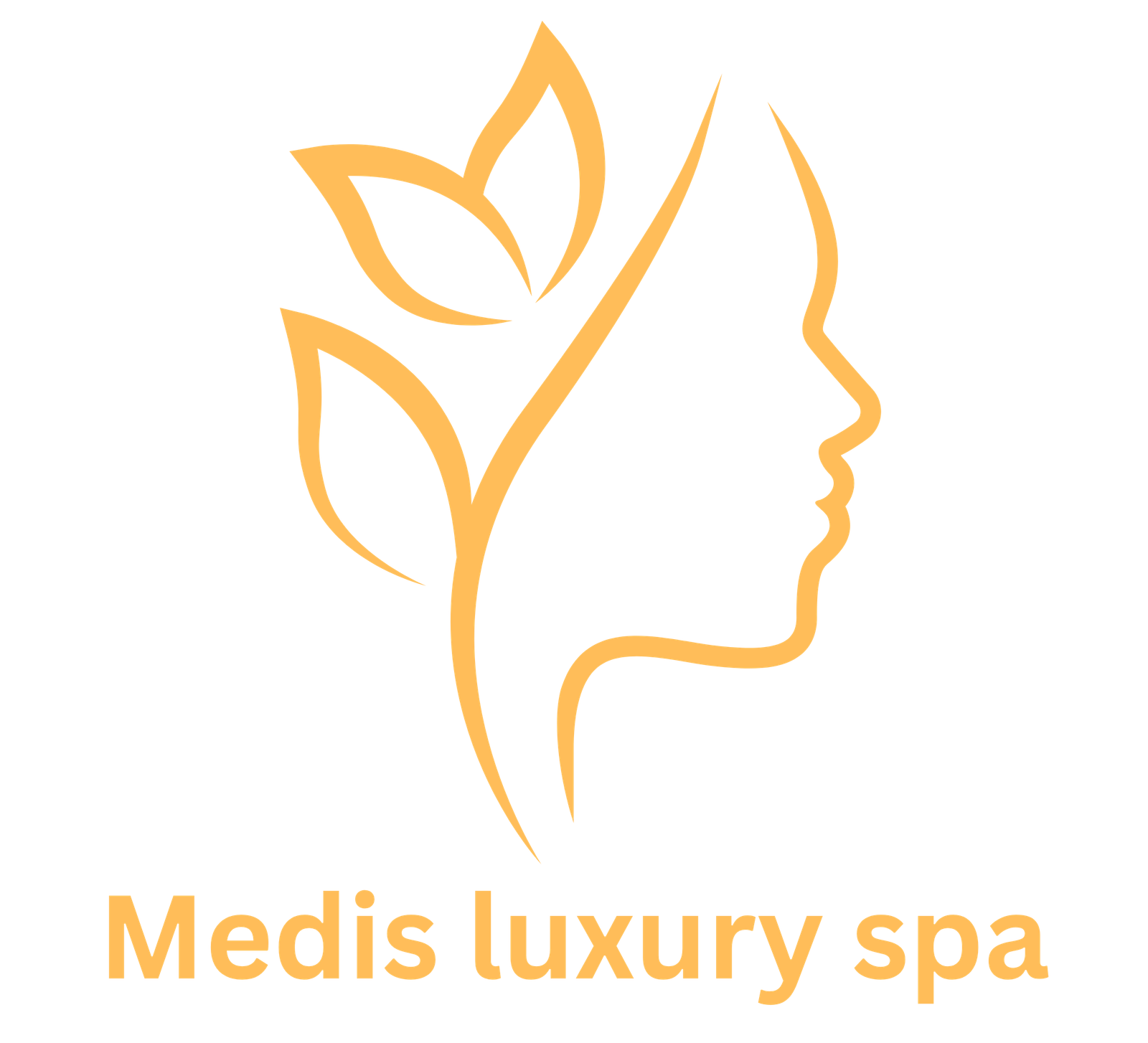 Medis luxury spa Logo